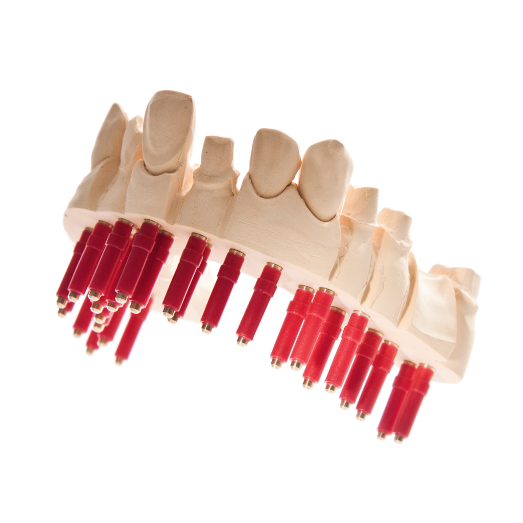 dentona pin systems