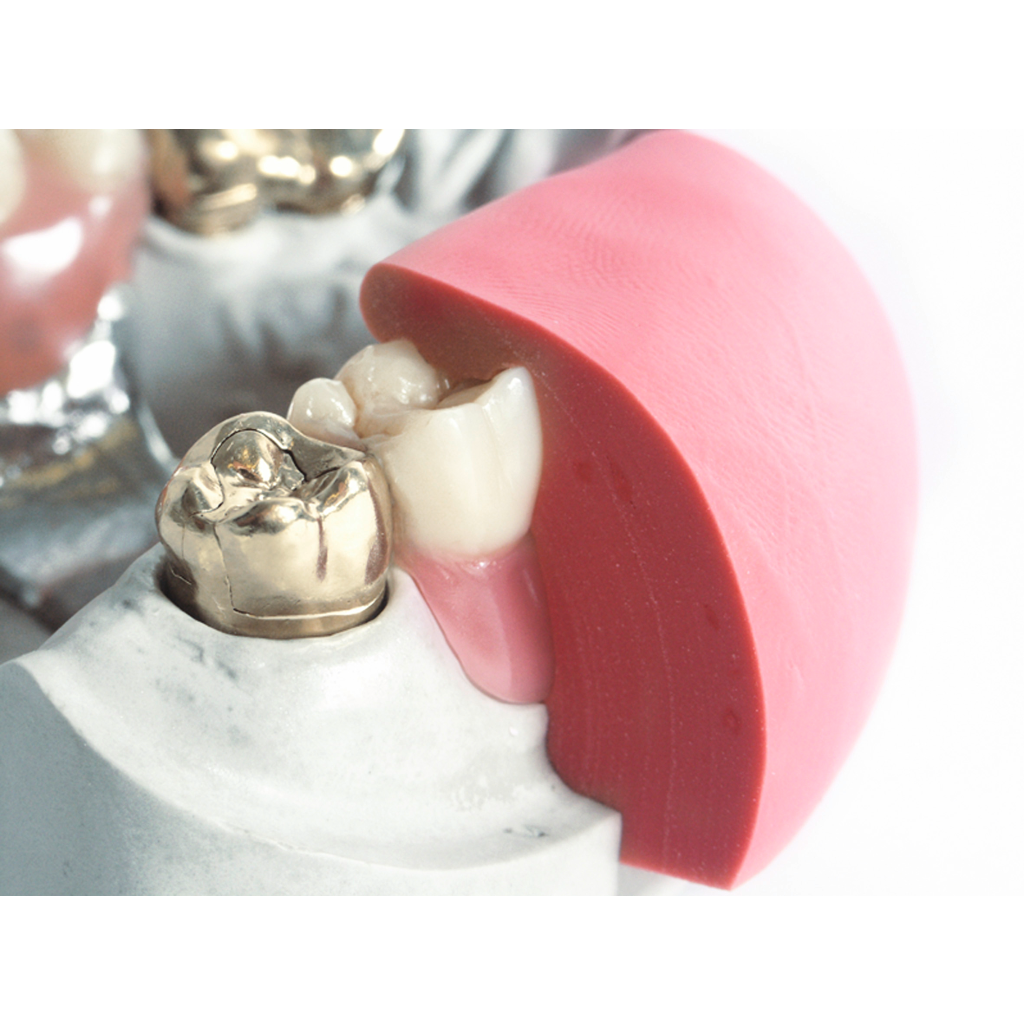 Modelling silicones